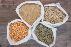 How to Correct and Enhance Product Data Using Google Supplemental Feeds